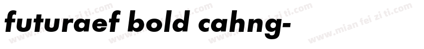 futuraef bold cahng字体转换
